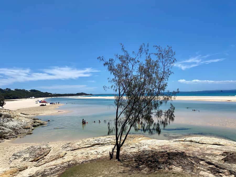 From Brisbane: North Stradbroke Island Wildlife Adventure - A small group and guides who shape the day