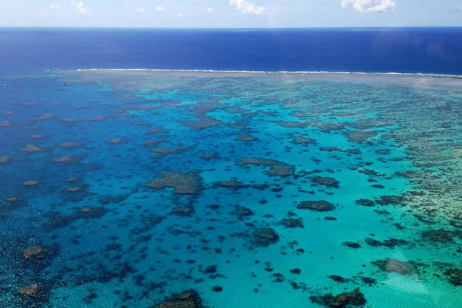 From Cairns: 40-Min Scenic Reef Window Seat Airplane Flight - Why See the Reef From the Air?