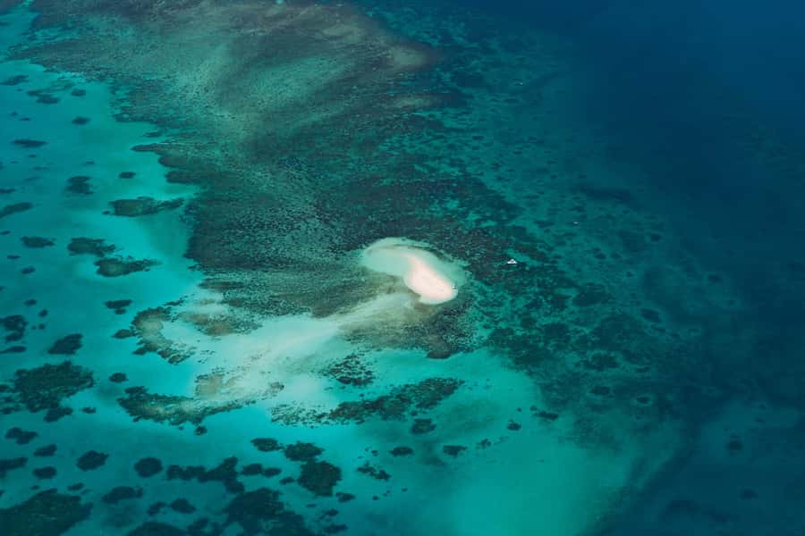 From Cairns: 40-Min Scenic Reef Window Seat Airplane Flight - Who Will Enjoy This Flight Most?
