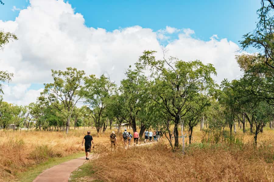 From Cairns: Chillagoe Caves and Outback Full-Day Tour - The road west is scenic, but the hours add up