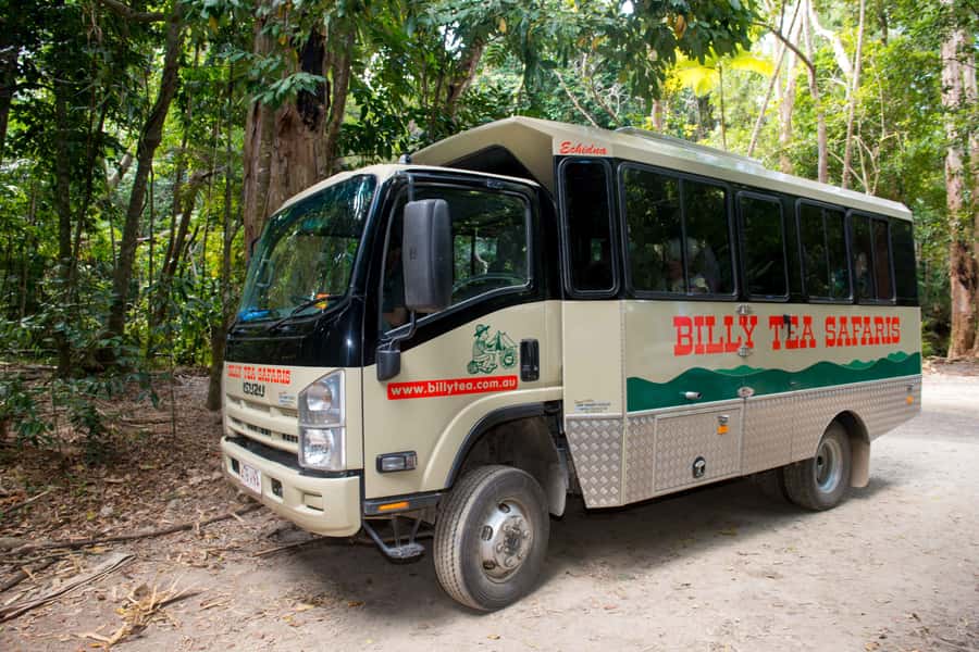From Cairns: Daintree Rainforest & Cape Tribulation 4WD Tour - The long road north from Cairns