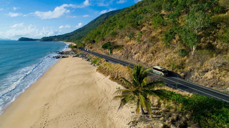 From Cairns: Daintree Rainforest & Cape Tribulation 4WD Tour - A guided walk beneath ancient palms