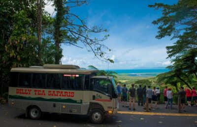 Daintree Rainforest & Cape Tribulation 4WD Tour