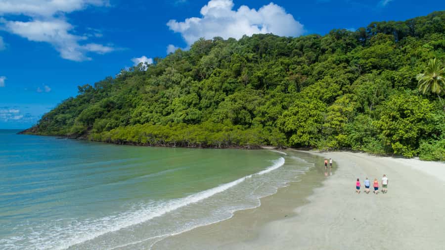 From Cairns: Daintree Rainforest & Cape Tribulation 4WD Tour - Lunch and a freshwater swim