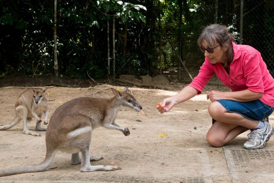 From Cairns: Daintree Rainforest & Cape Tribulation 4WD Tour - Cape Tribulation Beach and its lookout