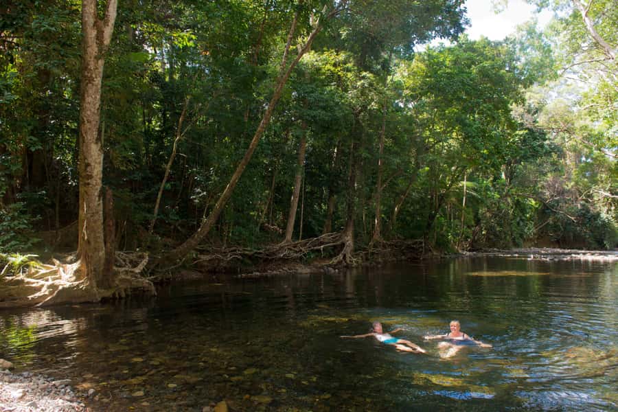 From Cairns: Daintree Rainforest & Cape Tribulation 4WD Tour - The Daintree ice cream stop