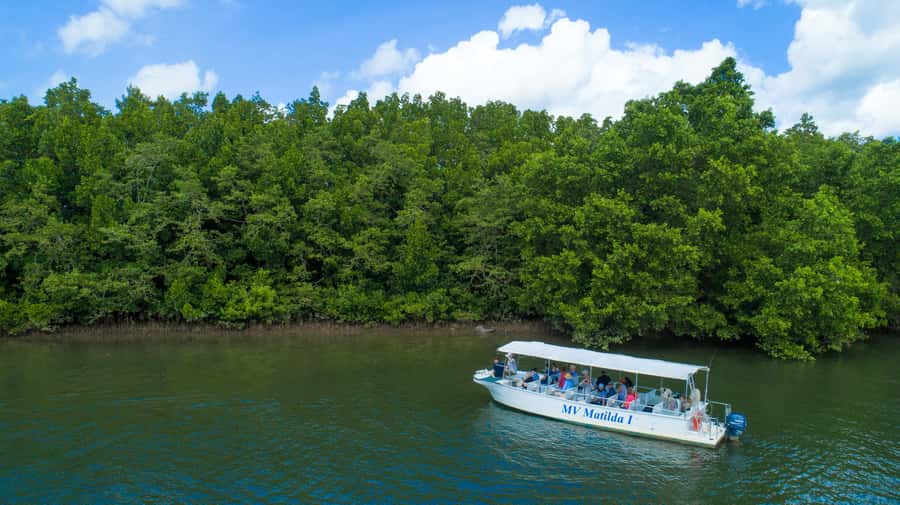 From Cairns: Daintree Rainforest & Cape Tribulation 4WD Tour - Returning across the ferry