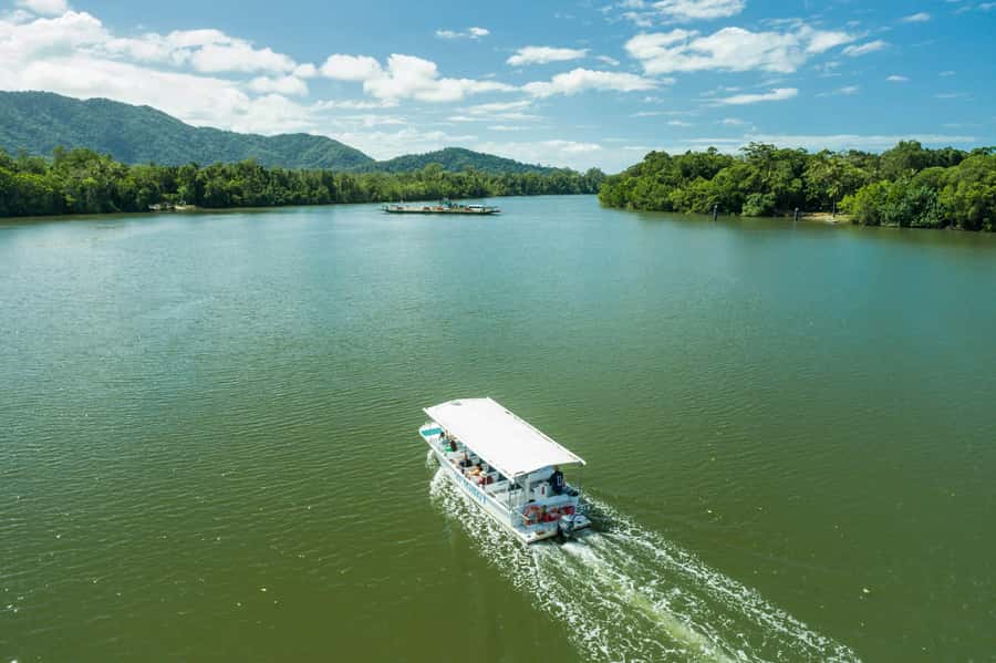 From Cairns: Daintree Rainforest & Cape Tribulation 4WD Tour - Why the guides matter so much