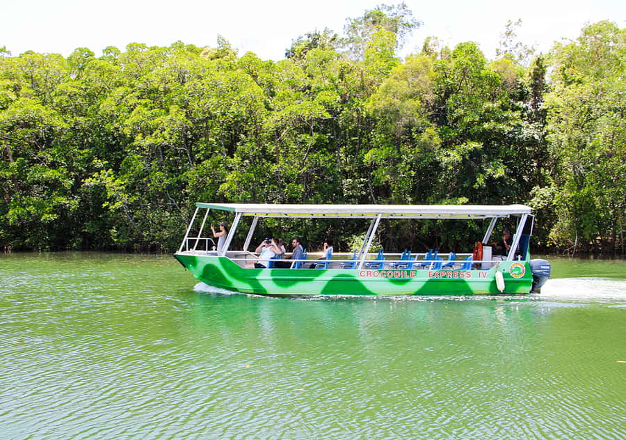 From Cairns: Daintree Wilderness & Cape Tribulation Bus Tour - Key things to know before you book