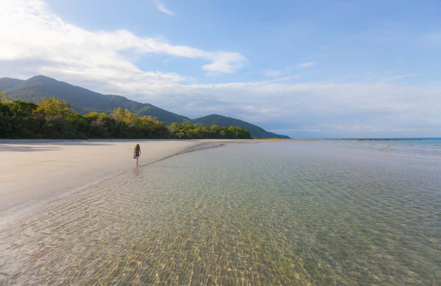 From Cairns: Daintree Wilderness & Cape Tribulation Bus Tour - Why this Daintree tour works so well