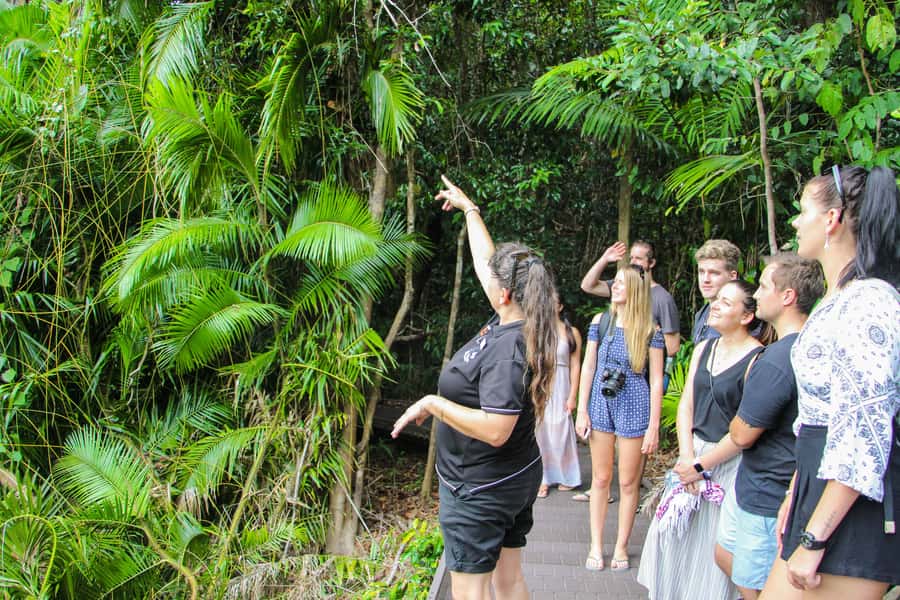 From Cairns: Daintree Wilderness & Cape Tribulation Bus Tour - Wildlife Habitat begins with animals, not wilderness