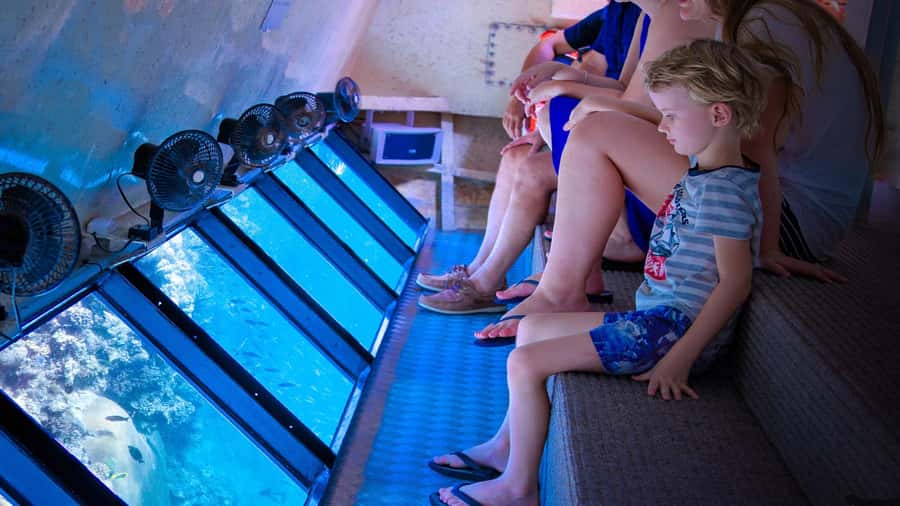 From Cairns: Frankland Island All-Inclusive Day Tour - How the island activity blocks work