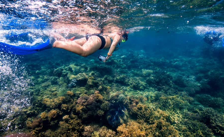 From Cairns: Frankland Island All-Inclusive Day Tour - Weather, water conditions, and what to pack