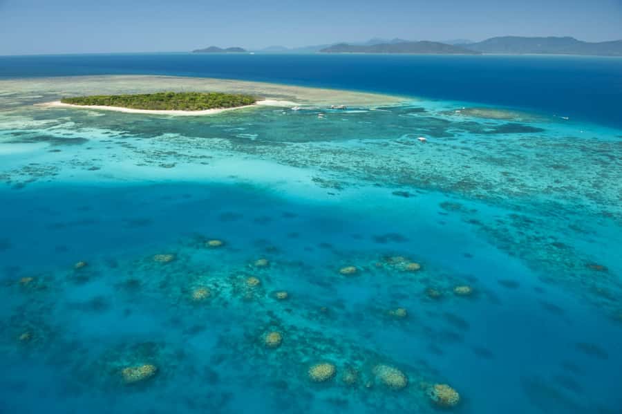 From Cairns: Full-Day Green Island Cruise - Green Island highlights at a glance