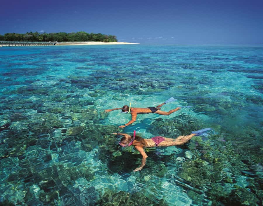 From Cairns: Full-Day Green Island Cruise - First impressions of Green Island National Park