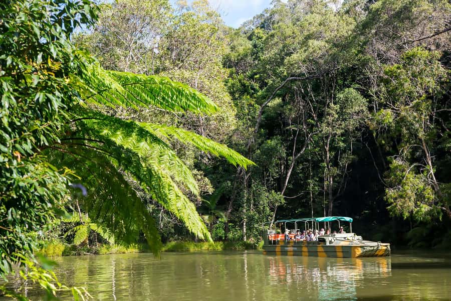 From Cairns: Full-Day Kuranda Army Duck Experience Tour - A big day from Cairns to Kuranda