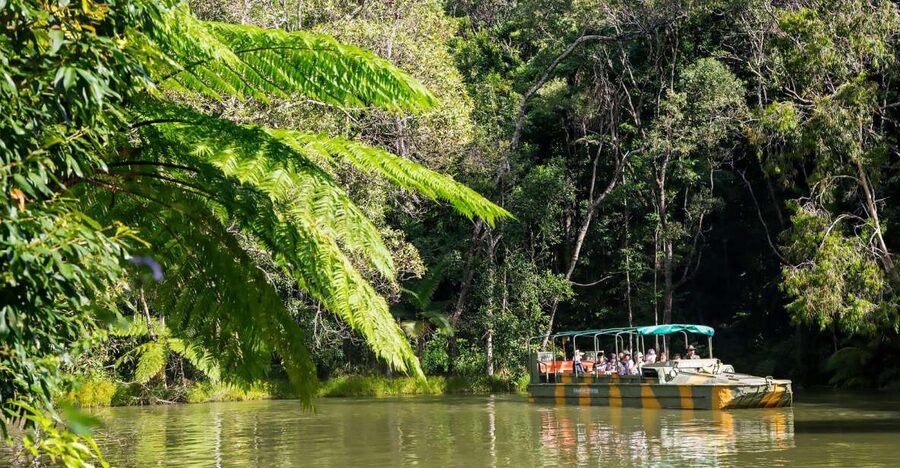 From Cairns: Full-Day Kuranda Army Duck Experience Tour - Should you book the Army Duck, Skyrail and train package?