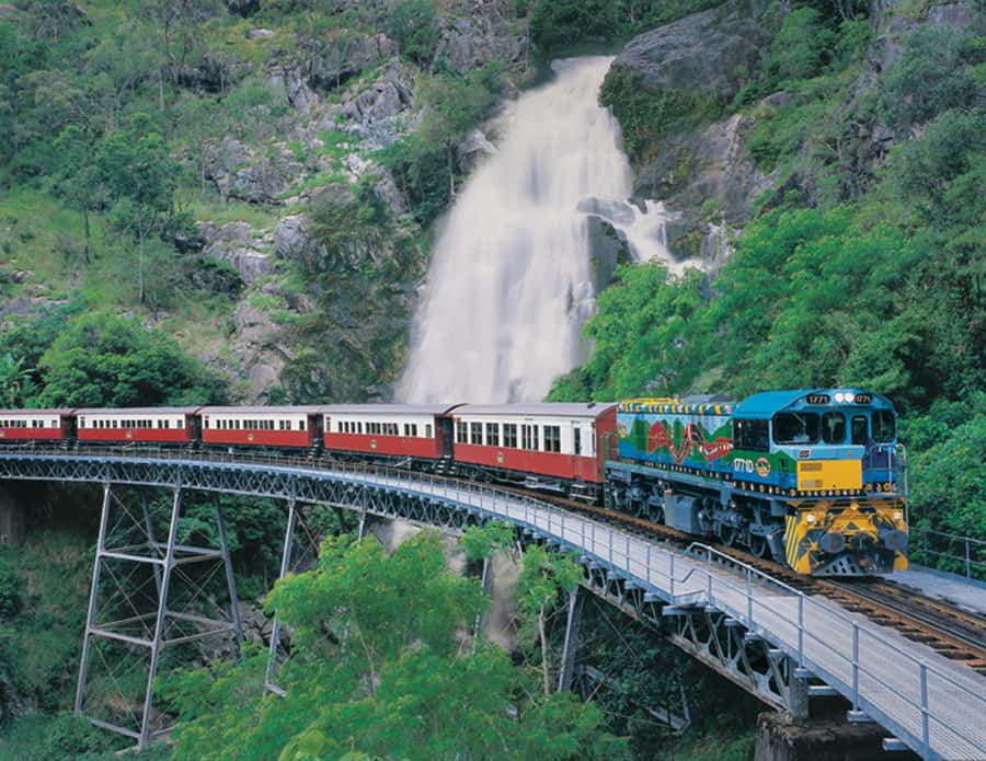 From Cairns: Full-Day Kuranda Army Duck Experience Tour - Skyrail above the rainforest canopy