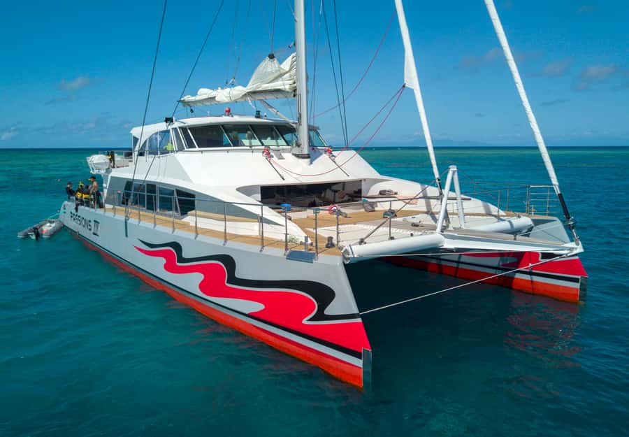 From Cairns: Great Barrier Reef Cruise by Premium Catamaran - Five things to know before booking