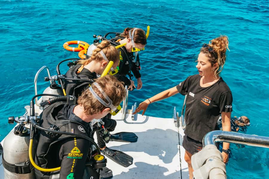 From Cairns: Great Barrier Reef Cruise by Premium Catamaran - Who will enjoy this reef cruise most