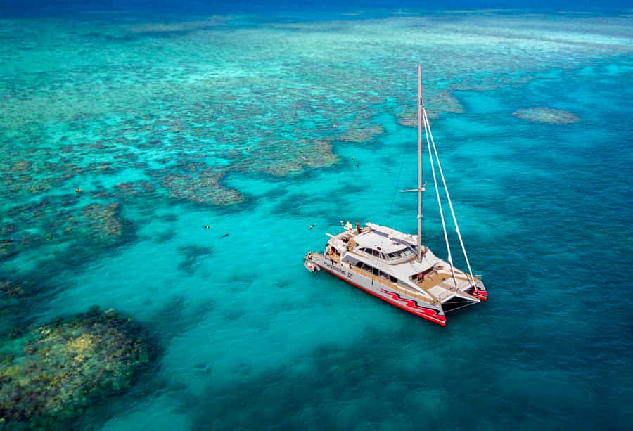 From Cairns: Great Barrier Reef Cruise by Premium Catamaran - Meeting Cairns before the 8 a.m. sailing