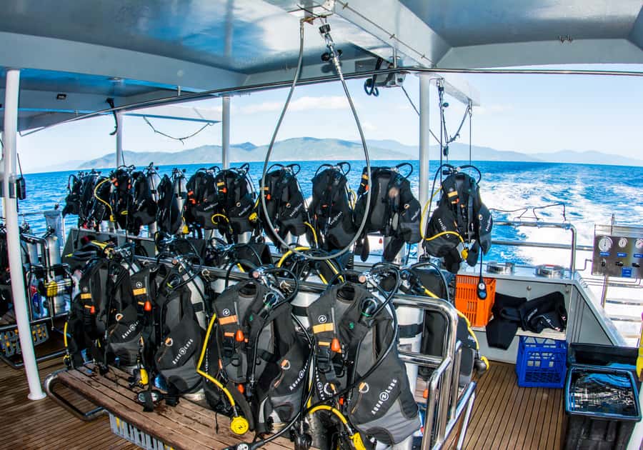 From Cairns: Great Barrier Reef Cruise by Premium Catamaran - Lunch aboard the catamaran