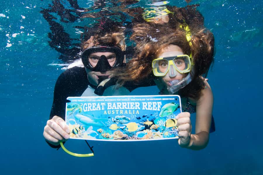 From Cairns: Great Barrier Reef Cruise by Premium Catamaran - Why the crew earns so much praise