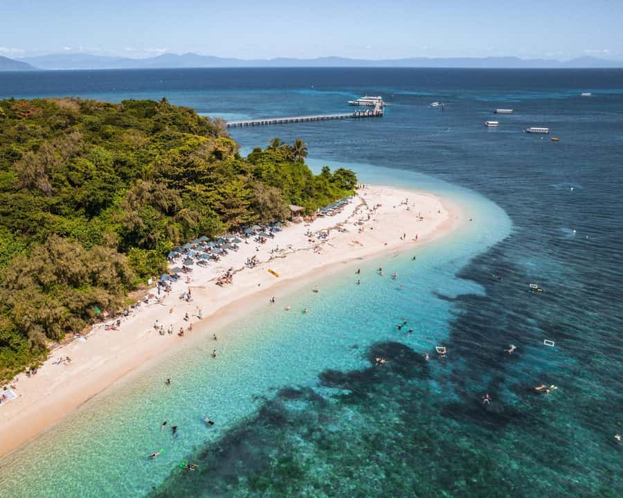 From Cairns: Green Island Full-Day Cruise - Snorkeling among coral and reef fish