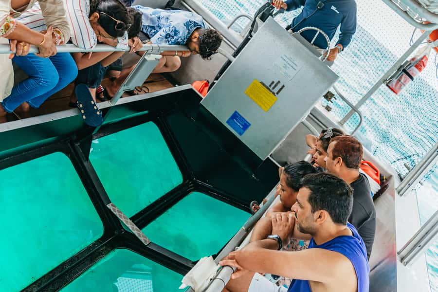 From Cairns: Green Island Full-Day Cruise - The rainforest boardwalk is a useful change of pace