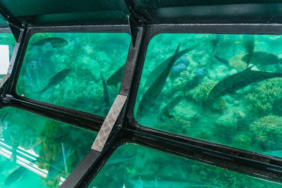 From Cairns: Green Island Full-Day Cruise - What the crew adds to the day