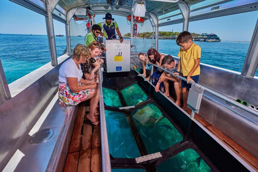 From Cairns: Half-Day Afternoon Cruise to Green Island - The glass-bottom boat for a dry reef view