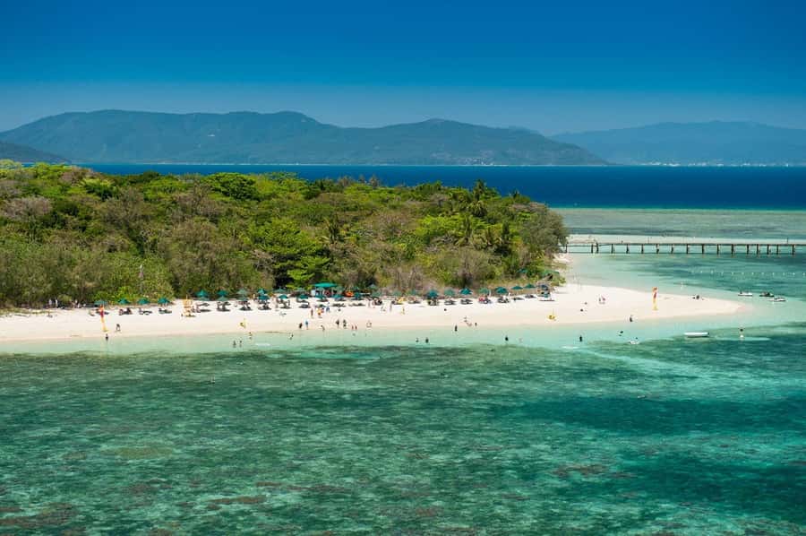 From Cairns: Half-Day Afternoon Cruise to Green Island - What the $77 price really buys