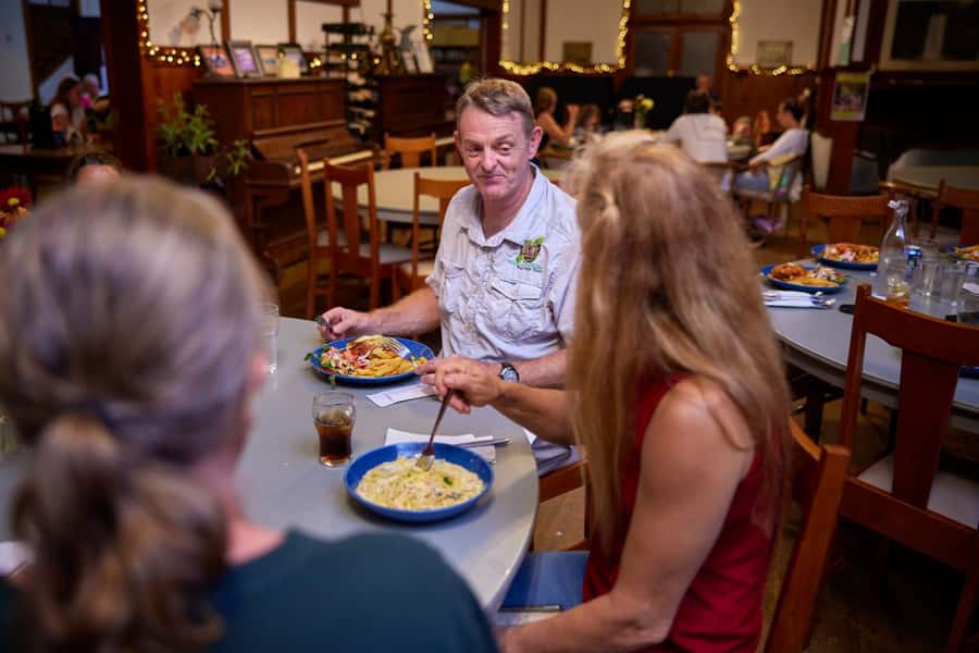 From Cairns: Rainforest & Nocturnal Wildlife Tour - How the timing and transport affect your day