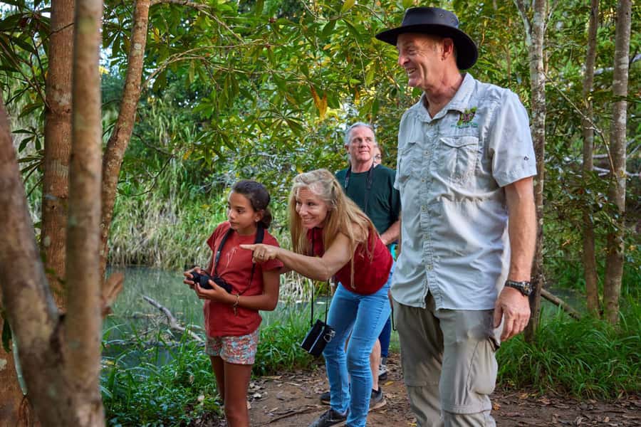 From Cairns: Rainforest & Nocturnal Wildlife Tour - Why this Cairns wildlife tour feels different