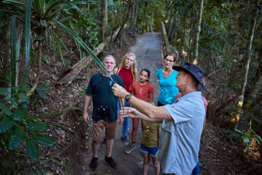 From Cairns: Rainforest & Nocturnal Wildlife Tour - The Cathedral Fig Tree and its giant roots