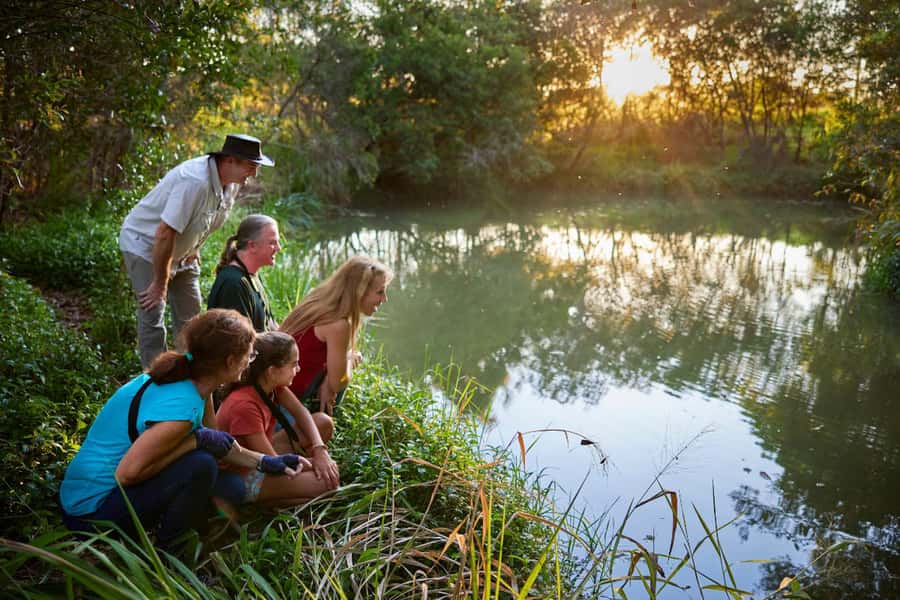 From Cairns: Rainforest & Nocturnal Wildlife Tour - Afternoon tea beside Lake Barrine