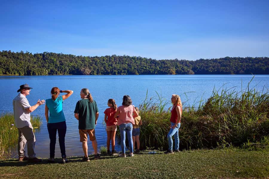 From Cairns: Rainforest & Nocturnal Wildlife Tour - Dinner in Yungaburra before the rainforest goes dark