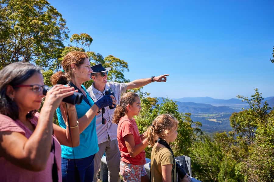From Cairns: Rainforest & Nocturnal Wildlife Tour - Leaving Cairns for the Atherton Tablelands