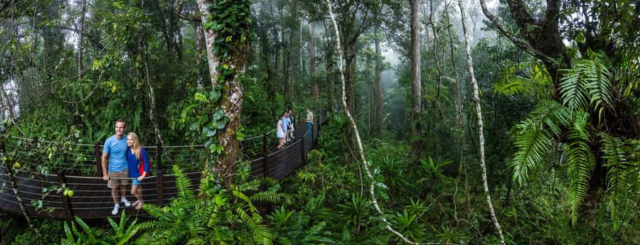 From Cairns: Self-Guided Kuranda Trip with Train and Skyrail - Price, value, and what is not included
