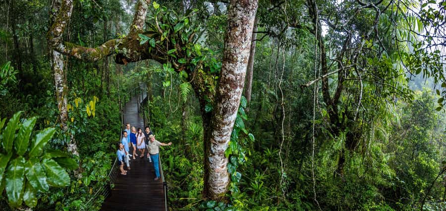 From Cairns: Self-Guided Kuranda Trip with Train and Skyrail - Weather, comfort, and access