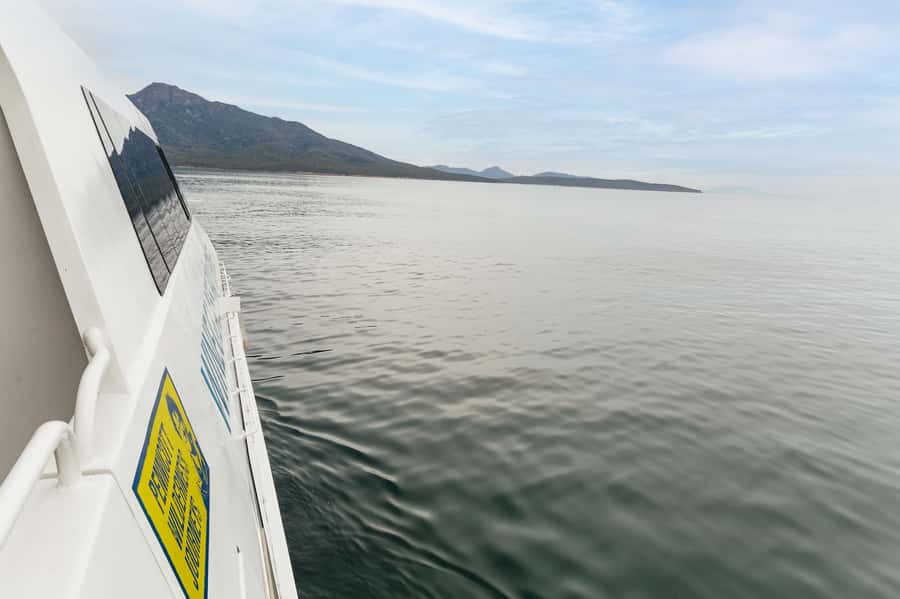 From Coles Bay: Wineglass Bay Cruise with Lunch - Practical details before departure