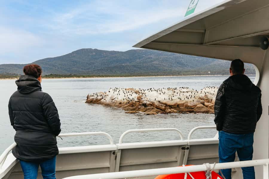 From Coles Bay: Wineglass Bay Cruise with Lunch - Is $141 good value for four and a half hours?
