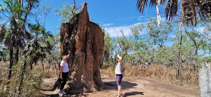 From Darwin: Litchfield National Park Small-Group Day Trip - Key points to know before you book