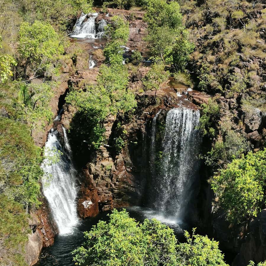 From Darwin: Litchfield National Park Small-Group Day Trip - Batchelor: a useful first stop