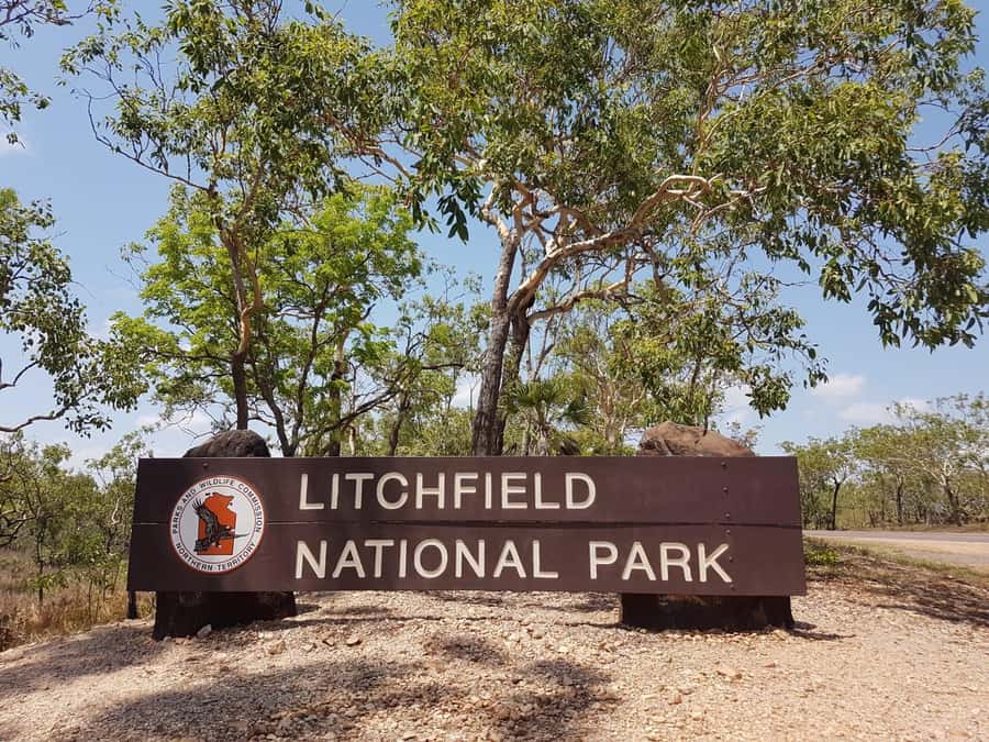 From Darwin: Litchfield National Park & Waterfalls Day Trip - Adelaide River: crocodiles or wetlands