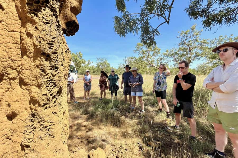 From Darwin: Litchfield National Park & Waterfalls Day Trip - Magnetic Termite Mounds and a lesson in survival