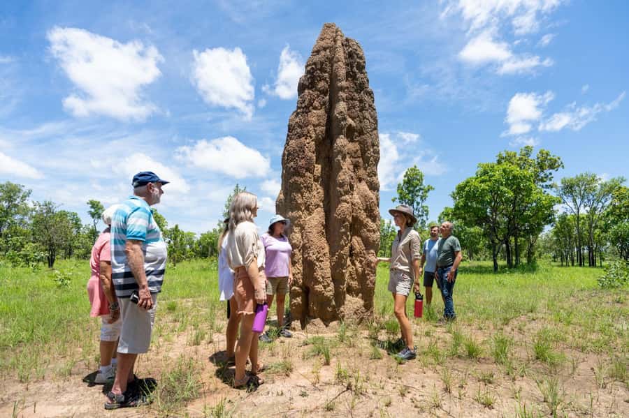 From Darwin: Litchfield National Park & Waterfalls Day Trip - Starting in Darwin and heading toward the Adelaide River