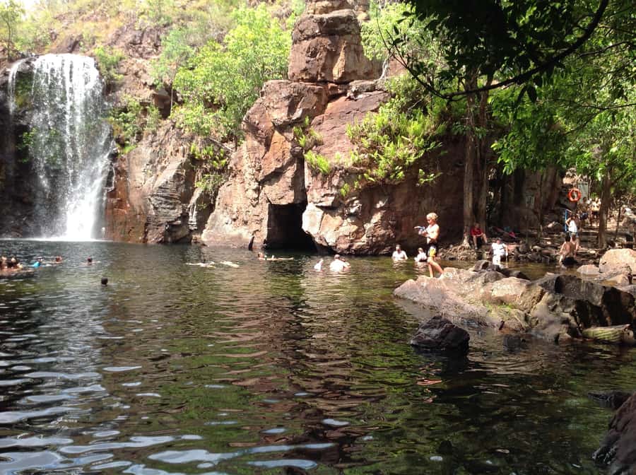 From Darwin: Litchfield Park Tour & Jumping Crocodile Cruise - The Adelaide River and its airborne crocodiles