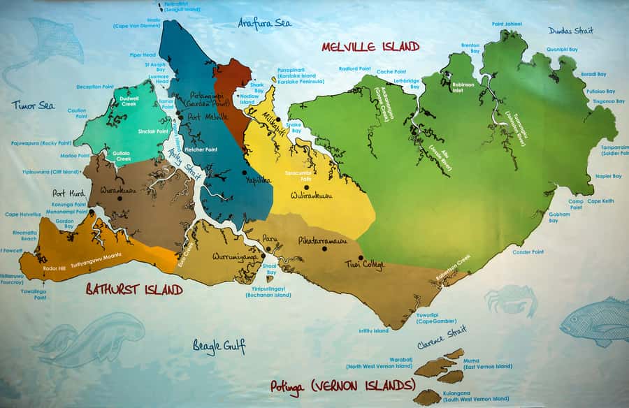 From Darwin: Tiwi Islands Aboriginal Culture Tour with Lunch - Should you book the Tiwi Islands tour?