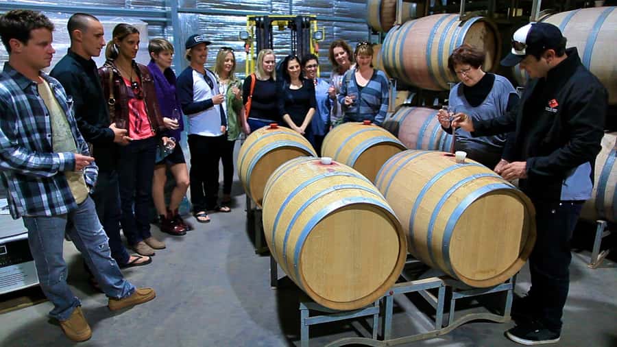From Dunsborough/Busselton: Margaret River Wine Adventure - Pickup from Busselton or Dunsborough
